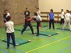 Tai Chi Kung Fu Nederland Rotterdam Xia Quan contact training